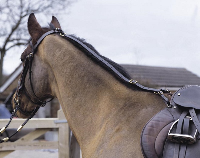 ATTACCO DAISY per PONY Attacchi 